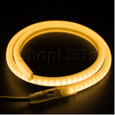 Гибкий Неон LED SMD, форма - D, тёплый белый, 120 LED/м,  бухта 100м